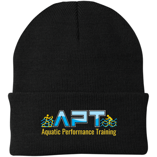 APT Knit Cap