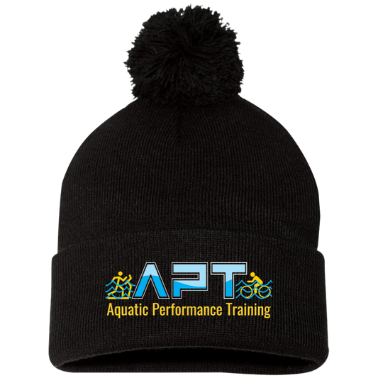 APT Beanie